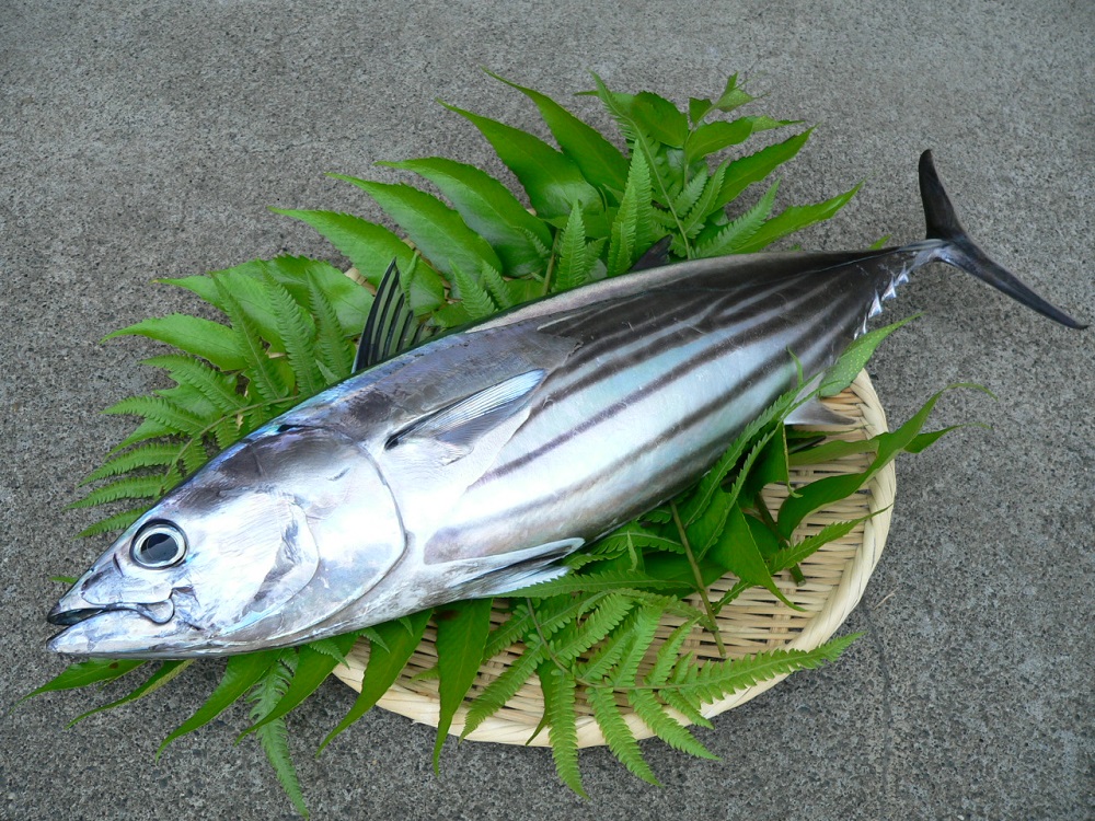 かつお