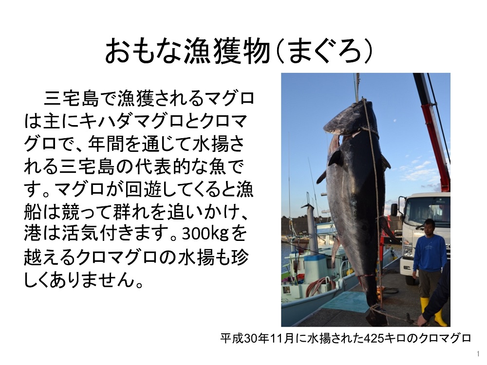 まぐろ