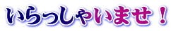 いらっしゃいませ！